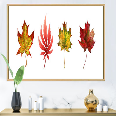 Feuille d'érable rouge I - reproduction sur toile