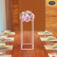 Steel Wedding Flower Stand , Backdrops & Signs