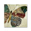 « papillon brocade ii » par reproduction d’art sur toile tendue Jadaya-20093892