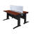 Regency Fusion 2 Person Bench Workstation with Privacy Panel-22798300
