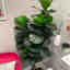Photos des clients 1 de 3