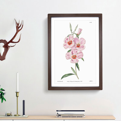 Blooming Pink Hibiscus Flowers - Picture Frame Graphic Art Print