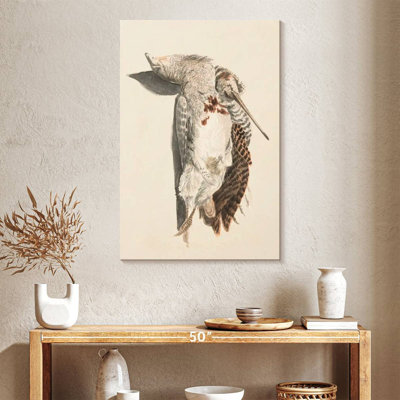 Deux oiseaux morts