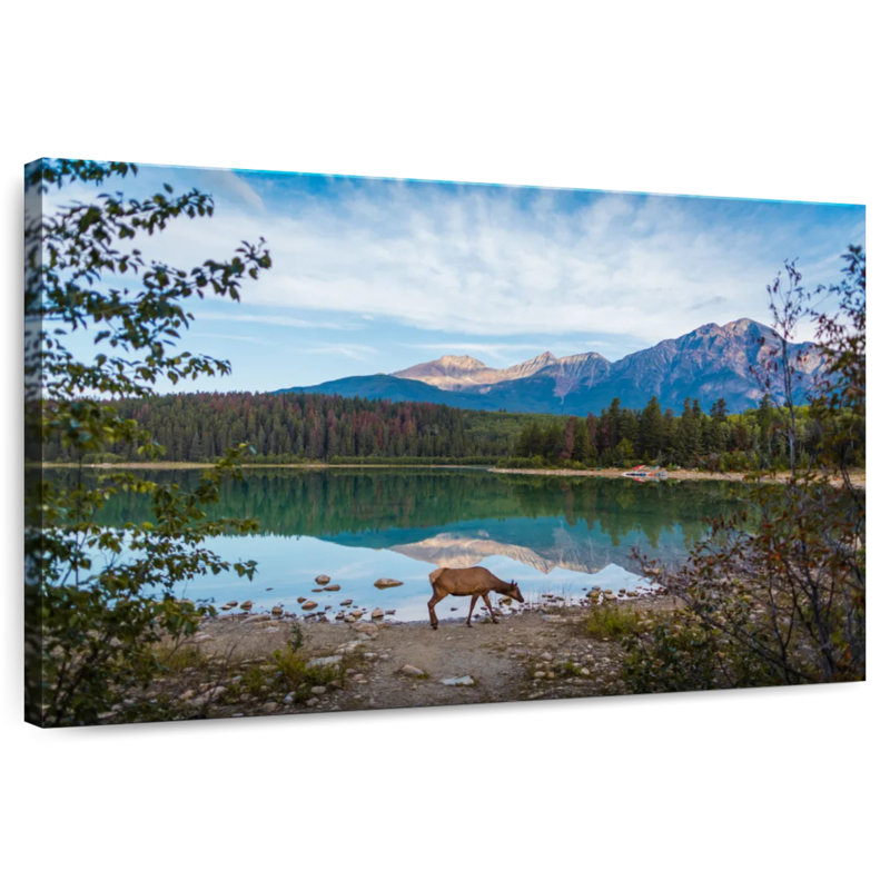 Orignal sauvage du parc Jasper, H 8 po x l 12 po