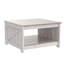Canizales Coffee Table with Storage-1532125690
