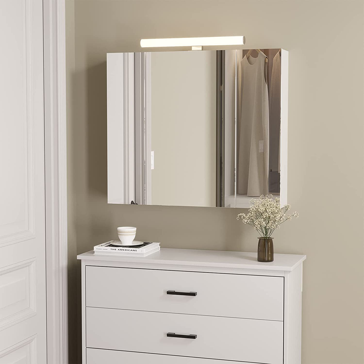 Davion 16'' W 36'' H Recessed Frameless Medicine Cabinet with Mirror and 4  Adjustable Shelves