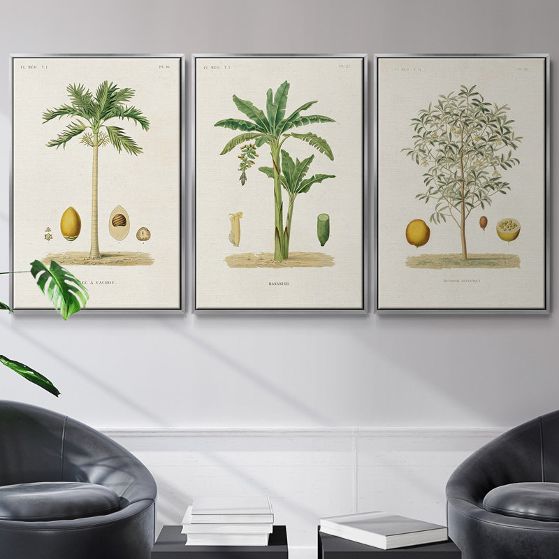 Arbre antique avec fruit II - ensemble de 3 reproductions de photos sur toile, H 36 po x l 72 po, Argent