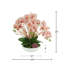 Orchids Arranged in Fiberstone Planter