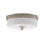 Barry Goralnick 1 - Light LED Flush Mount