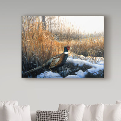 «Pheasant» par Armstrong, impression sur toile tendue