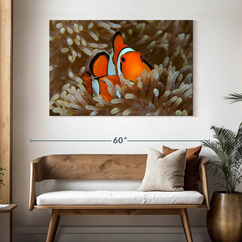 Brampt Wakatobi Anemonefish Pet, 32" H x 48" W