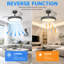 106.68cm Ceiling Fan-1379589297