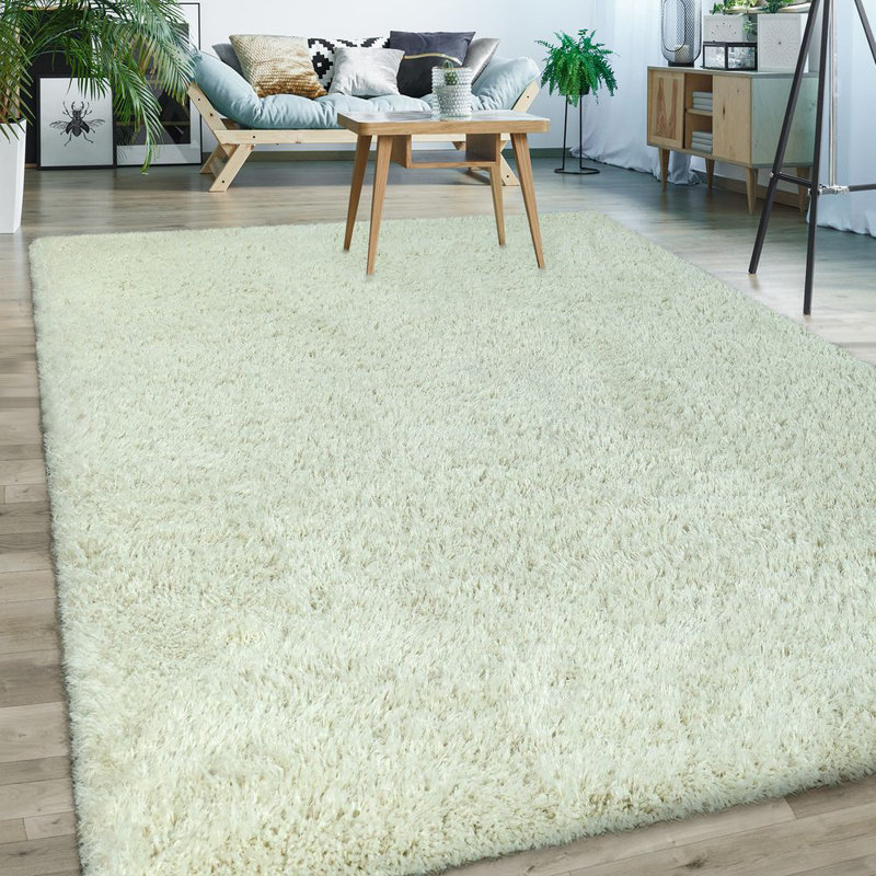 Keaton Solid Colour Shag Area Rug, Rectangle 120 x 170cm