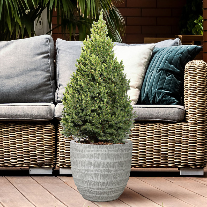 White Washed Reinforced Stone Egg Garden Round Planter, Outdoor Plant Pot, 33.5cm H x 36cm W x 36cm D