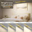 Battery Powered LED Wall Mount Picture Light