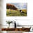 Brampt Border Collie And Cow-107707384
