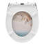 Dejoire Soft Close Elongated Standard Toilet Seat