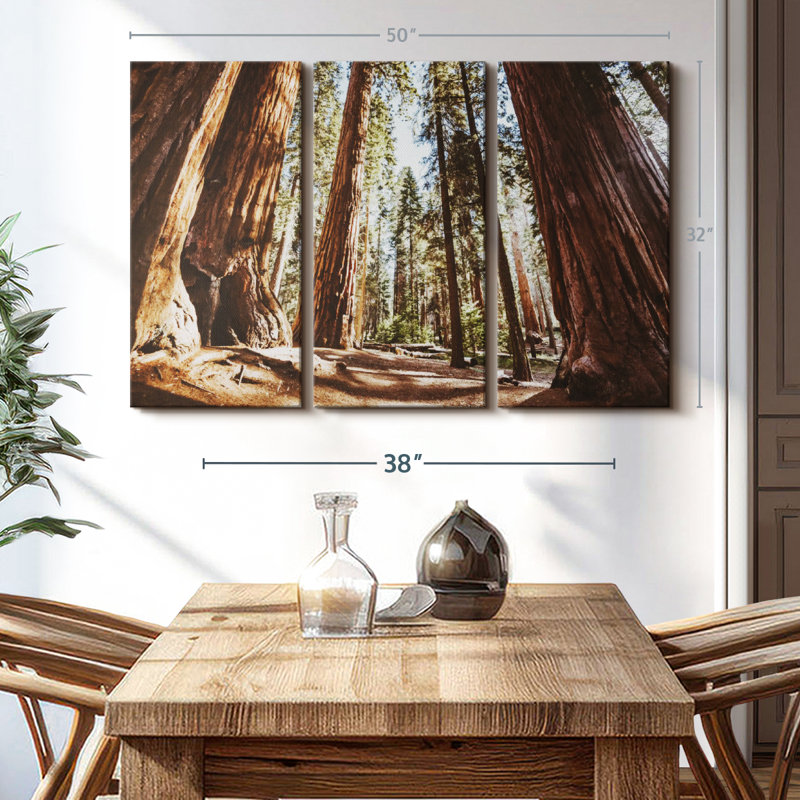 «Summer In Sequoia Park» sur toile, H 32 po x l 50 po x P 1,25 po