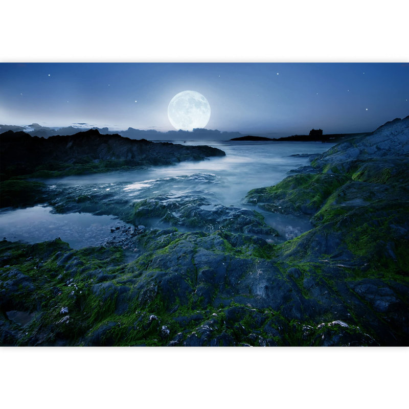 Moon Border, 100" L x 144" W