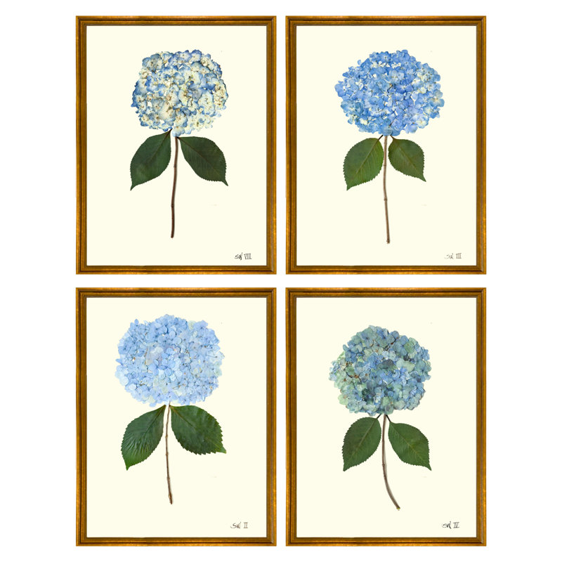 Pressed Hydrangea Set by Sandy Whitaker, Antique Gold, 35" H x 26" W