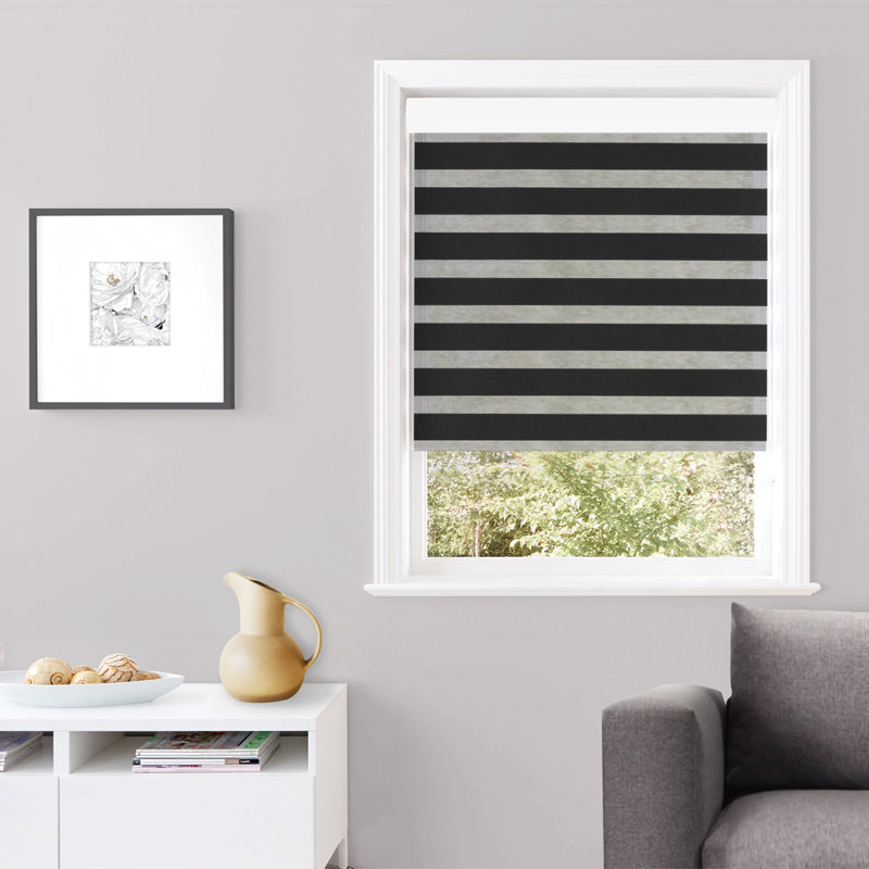 Store à enroulement semi-transparent Robbe, l 48 po x L 84 po, Noir
