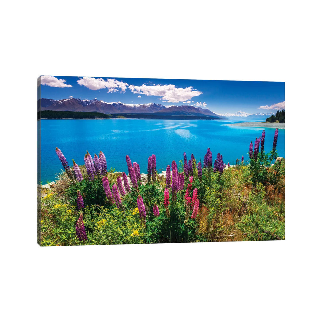 Wildflowers At Lake Pukaki In The Southern Alps, Canterbury, South Island, New Zealand by Russ Bishop - Wrapped Canvas Gallery-Wrapped Canvas Giclée