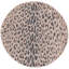 Tapis d'extérieur Ivery-1340384021