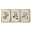 Antique Turpin Botanical VII - Ensemble de 3 peintures sur toile encadrées-1789316821-1789316825