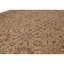 Wool Oriental Area Rug in Brown