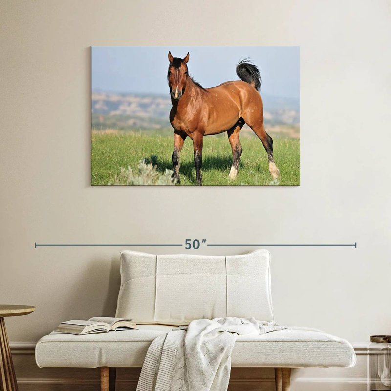 Brampt Majestic Wild Horse