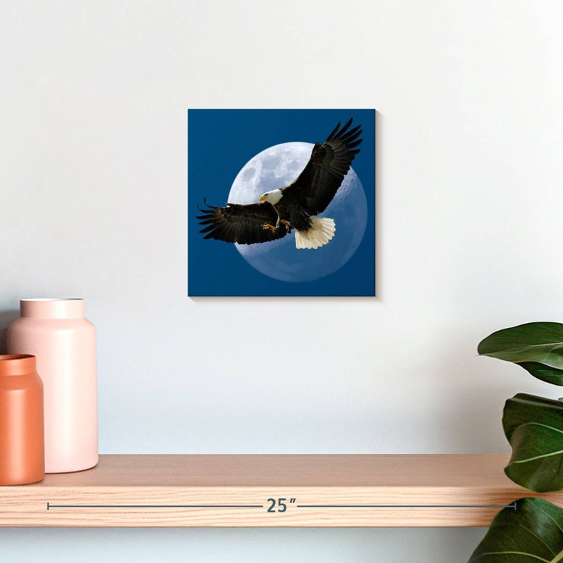 Crowle Midnight Bald Eagle, 10" H x 10" W