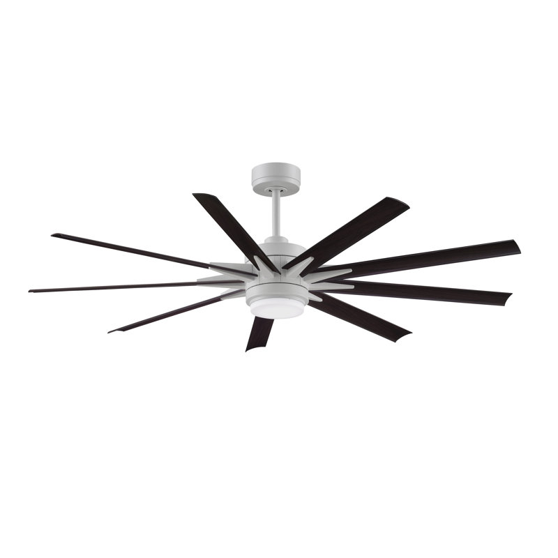 Ventilateur de plafond intelligent d'intérieur / extérieur 64 pouces Odyn avec ensemble de lumières CCT Select - blanc mat avec pales en noyer foncé