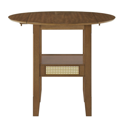 Pulukan Counter Height Drop Leaf Dining Table by Kingstown Home