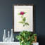 «Pretty Botanicals II», cadre photo-341834860-341834862