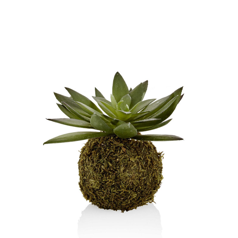 3.9 " H Faux Succulent