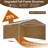 Premium Outdoor Utility Shed