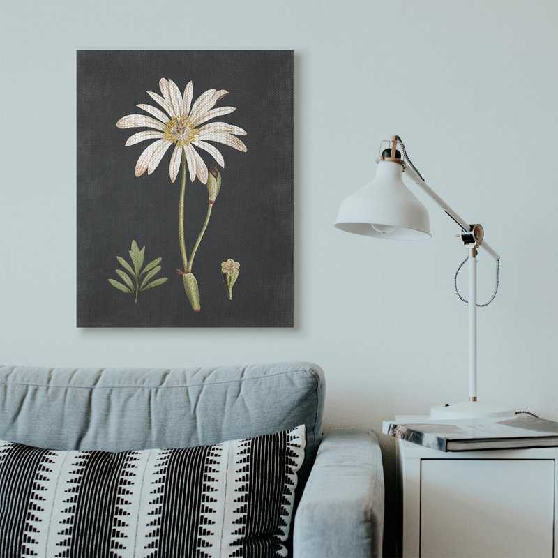 « botanique drawing white on black design », impression, Toile tendue, H 40 po x l 30 po