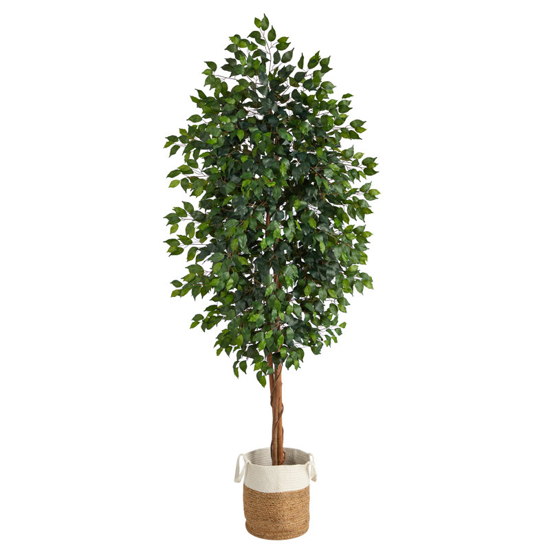 Ficus artificiel 72 po en pot, H 96 po x l 44 po