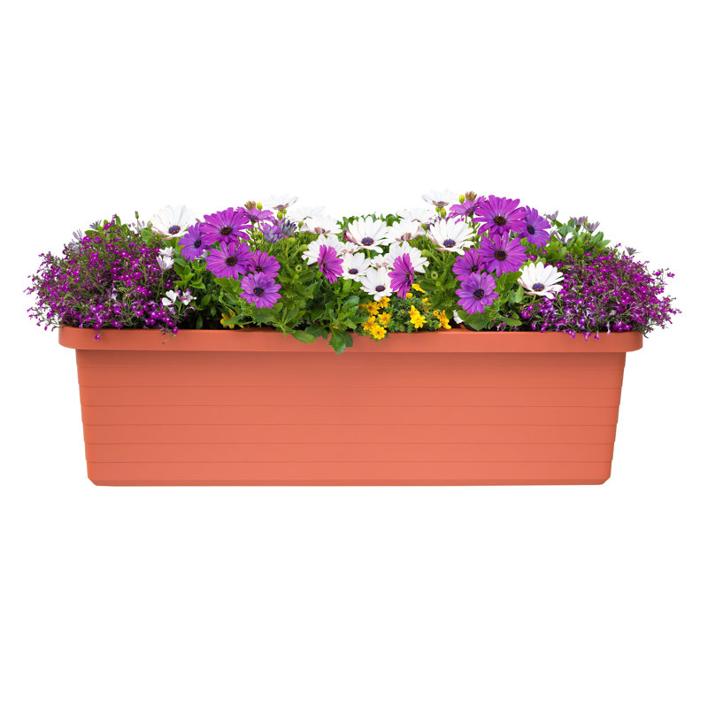 Boîte à fleurs en plastique Julixa Trio, Terra Cotta