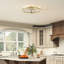 Ceiling Fan