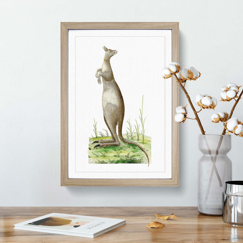Great Kangaroo by George Shaw - Framed Print, Oak Framed, 36cm H x 27cm W x 2cm D