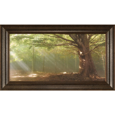 Lumières, reproduction de photo encadrée