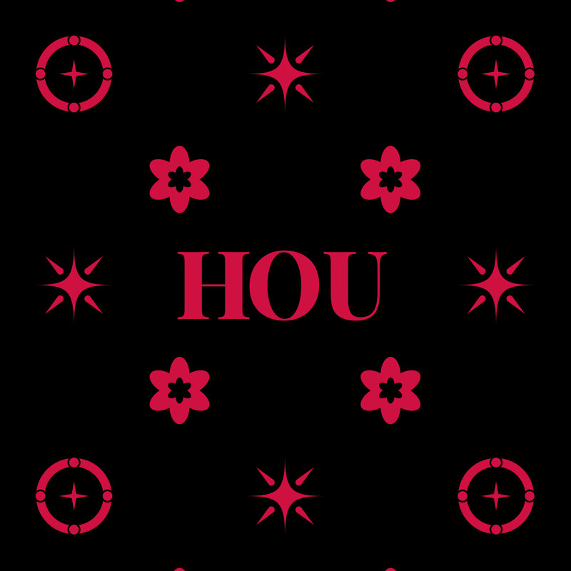 Coussin Houston Basketball, Noir / rouge 