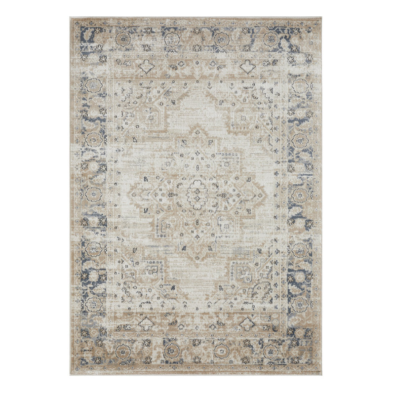 Aldonia Oriental Indoor Rug, Rectangle 4' x 6'