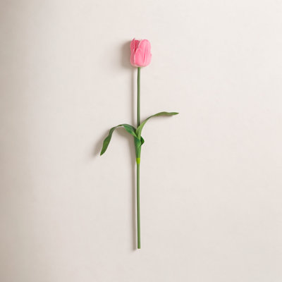 Tulip Floral Stems
