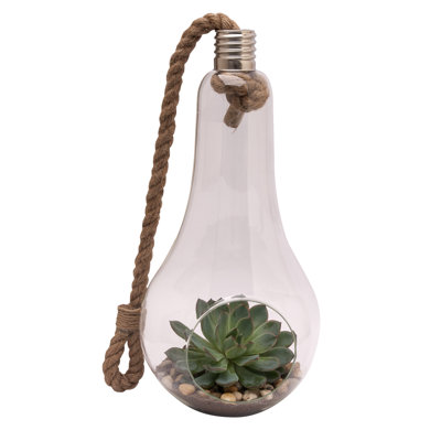 Garnica Glass Terrarium