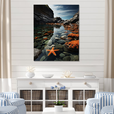 Romriell " Coastal Rocky Coast "