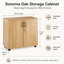 Marjorie Wood Storage Cabinet with Lock, 2 Door Locking File Tool Cabinet Cupboard with Adjustable Shelf-30562431