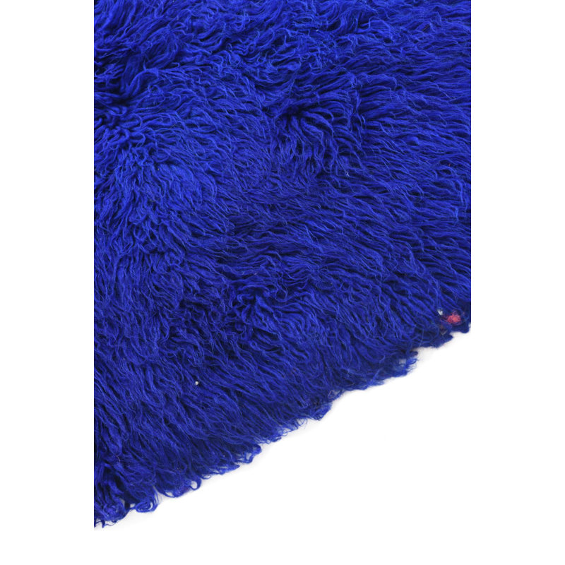 5 Ft Rectangle Phillippi Blue Rug