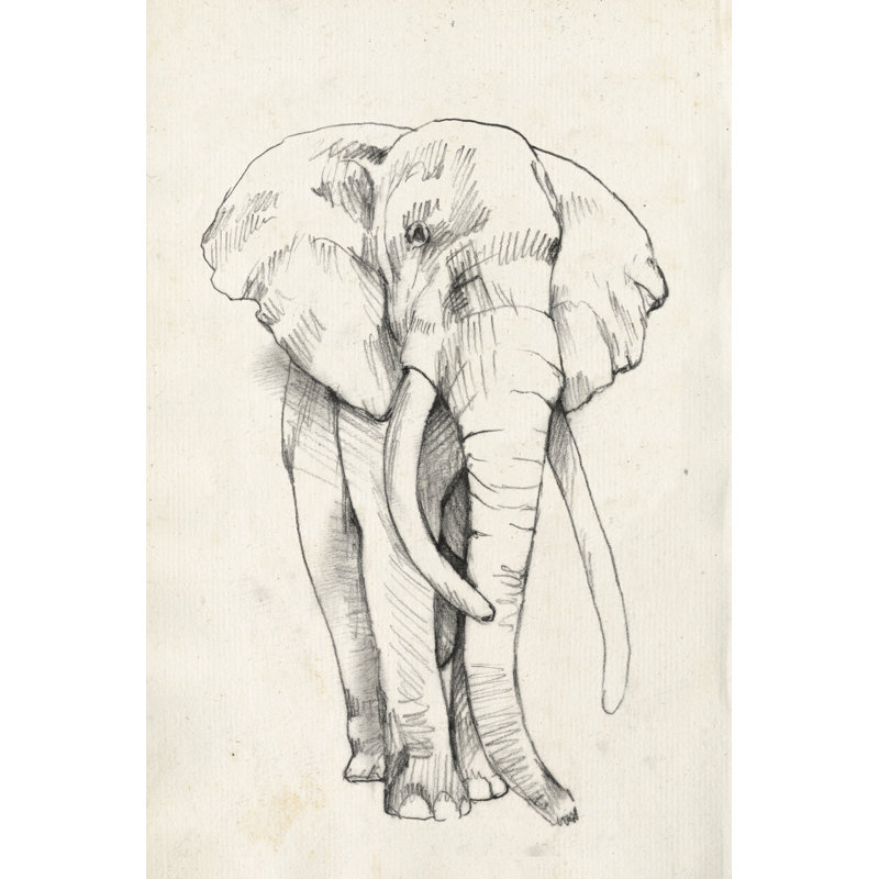 Elephant Portrait II by Jennifer Goldberger - Wrapped Canvas Print, 91cm H x 61cm W x 3.8cm D